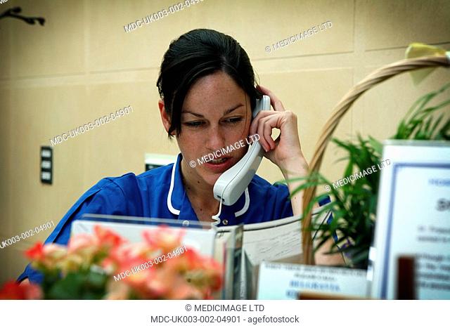 A young nurse talking on the telephone as she over looks overviews paperwork relating to her patients