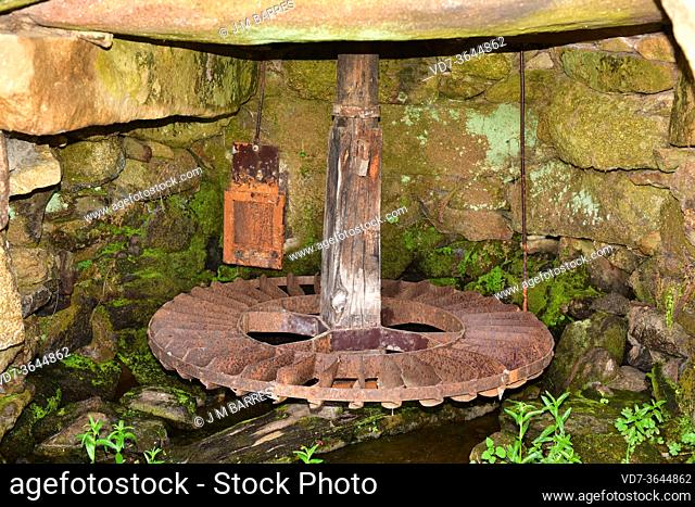 Hydraulic mill (Molino de Serafin). Wheel detail (rodezno). Mamoles, Fariza municipality, Sayago, Zamora province, Castilla y Leon, Spain