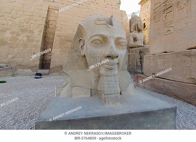 Statue of Ramesses II, Luxor Temple, UNESCO World Heritage site, Thebes, Luxor, Luxor Governorate, Egypt