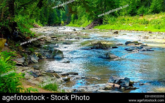 Beautiful view on the calm water stream or river flowing through mountain pine forest at summer