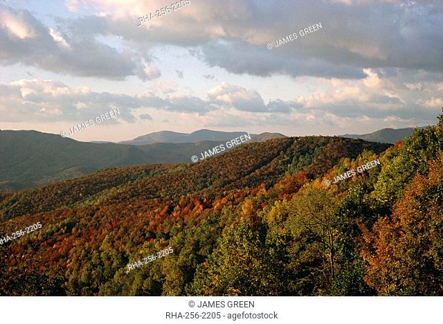 Earling morning landscape, Little Switzerland, Blue Ridge Parkway, North Carolina, United States of America U.S.A., North America
