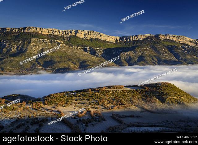 Winter sunrise with fog over Montsec range, seen from Port d'Ã. ger (Lleida province, Catalonia, Spain, Pyrenees). ESP: Amanecer invernal con nieblas sobre el...