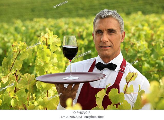 Man serving a glass of red wine in the middle of a vineyard