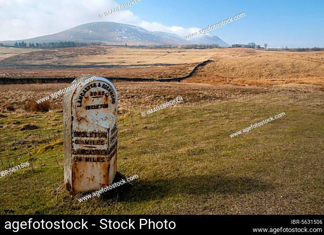 Mile marker with six and a quarter miles to Ingleton and 24 miles to Lancaster, at the roadside near Ingleborough, Yorkshire Dales N.P