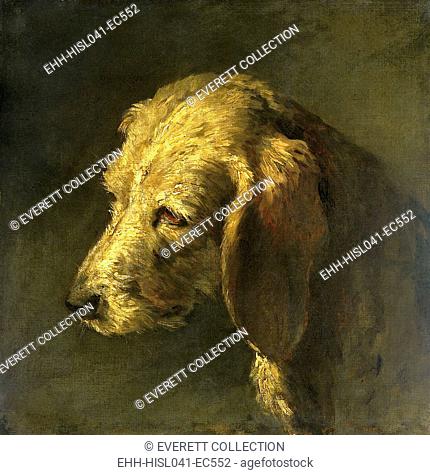 Head of a Dog, by Nicolas Toussaint Charlet, c. 1820-45, French painting, oil on canvas. (BSLOC-2016-1-297)