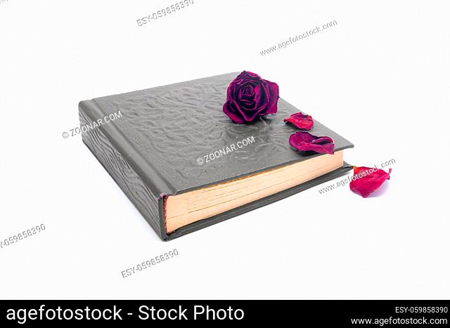 Dried rose petals on the old book