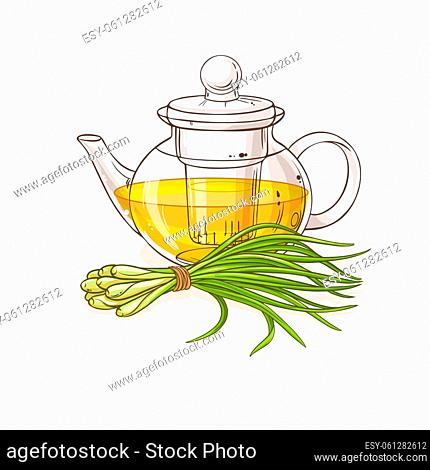 lemongrass tea in teapot illustration on white background