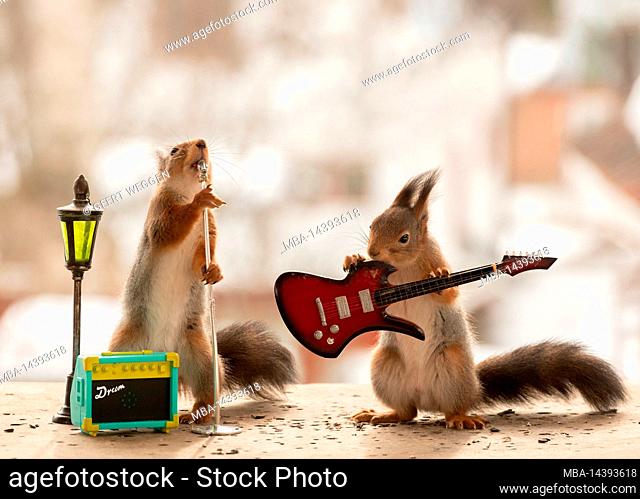 Squirrel with guitar and microphone on a podium