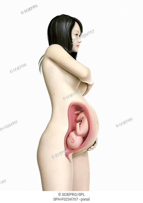 Illustration of a pregnant woman at week 39