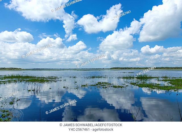 White summer clouds reflecting in Upper Myakka Lake in Myakka River State Park in Sarasota Florida