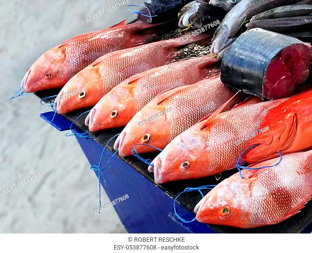 On a beach on the island of Seychelles, there are freshly caught fish to buy. Red complete fish or already portioned and ready to grill