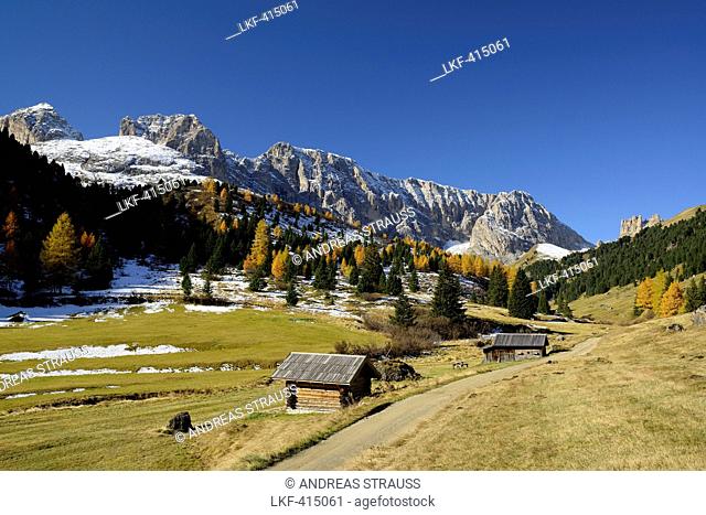 Path leading through Duron valley with Rosengarten range in the background, Duron valley, Fassa valley, Rosengarten range, Dolomites