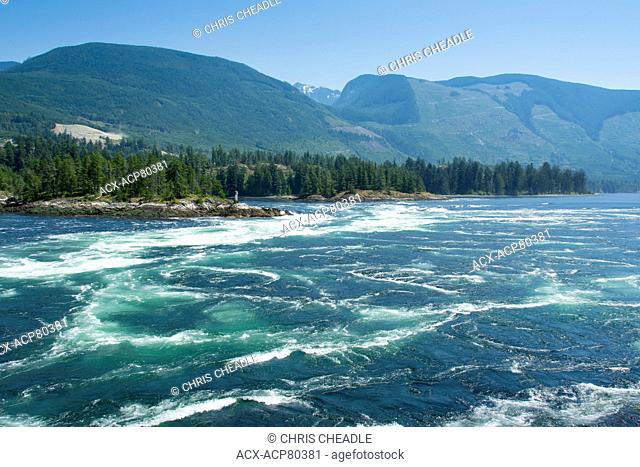 Skookumchuck Narrows, ebb tide Sechelt Inlet, Sunshine Coast, British Columbia, Canada