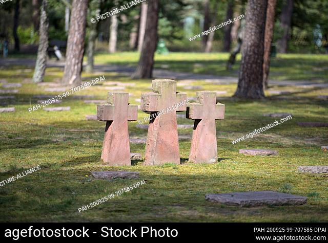 09 September 2020, Brandenburg, Halbe: Crosses and gravestones stand or lie between trees in the Waldfriedhof. The cemetery at the edge of the community is one...