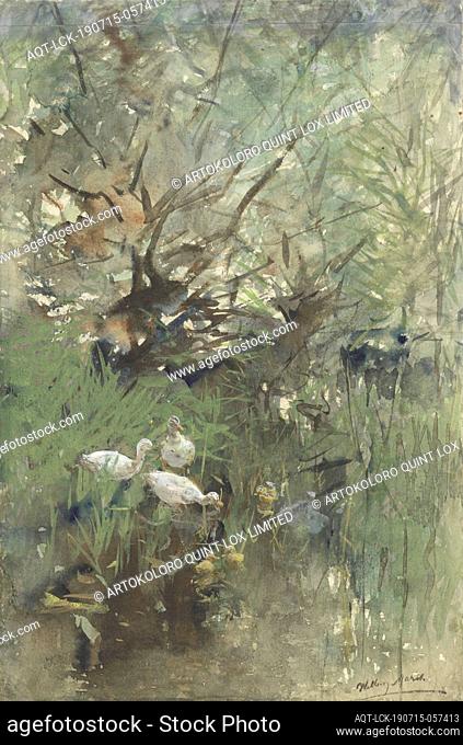 Ducks among willows, domestic waterbirds, Willem Maris (mentioned on object), 1844 - 1910, paper, watercolor (paint), brush, h 289 mm × w 193 mm