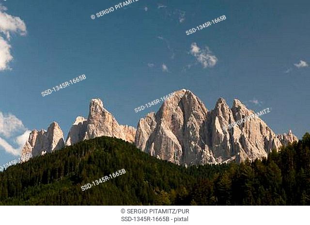 Low angle view of trees with mountain range, Geisler Gruppe, Funes Valley, Dolomites, Trentino-Alto-Adige, Italy