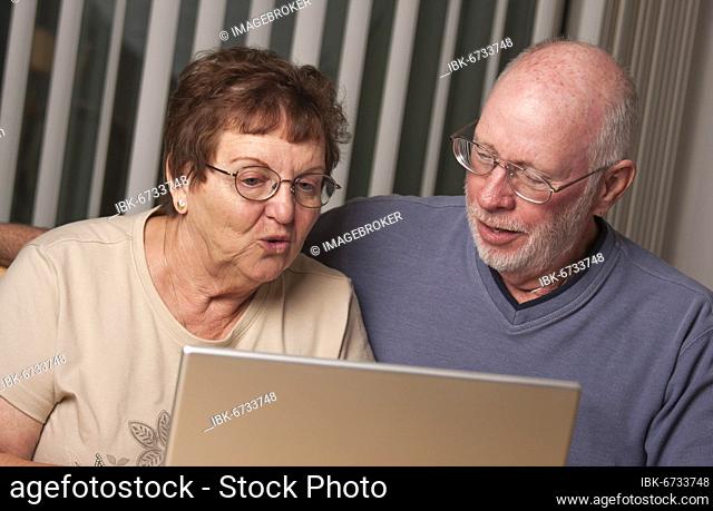 Smiling senior adult couple having fun on the computer laptop together