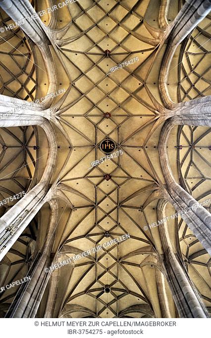 Vaulted ceiling of the late-gothic three-naved hall church, St. George's Minster, 1499, Dinkelsbühl, Middle Franconia, Bavaria, Germany