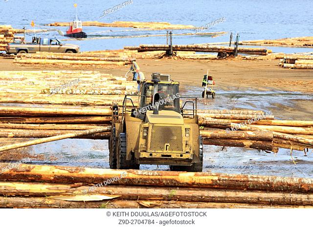Loader unoading logging truck at sawmill, Ladysmith, Vancouver Island, British Columbia