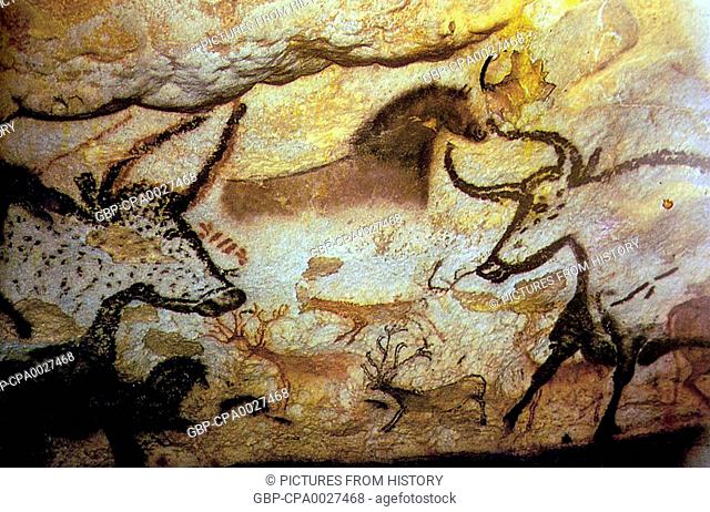 France: Upper Paleolithic cave painting of animals from the Lascaux Cave complex, Dordogne, France, estimated to be c. 17, 300 years old