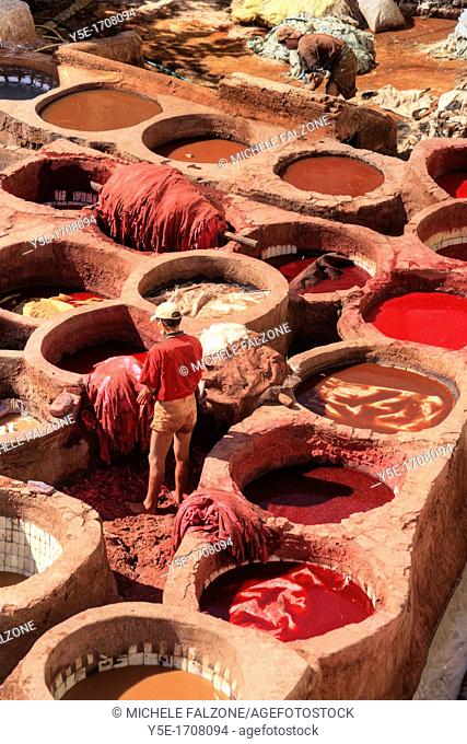 Morocco, Fes, Medina Old Town, Traditional old tanneries