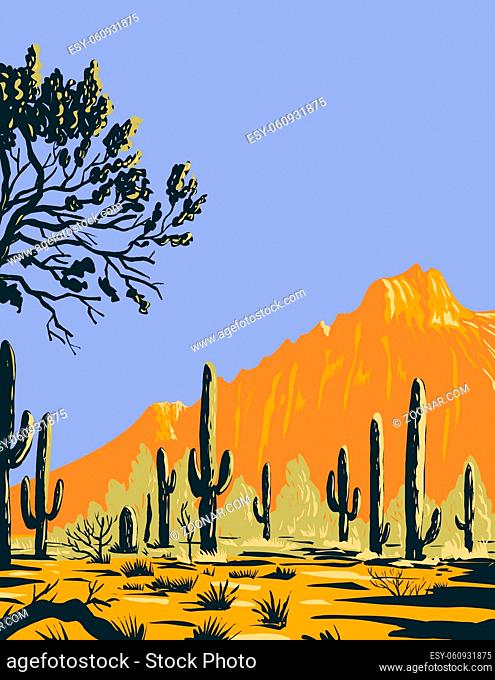 WPA poster art of the saguaro cactus or Carnegiea gigantea in Ironwood Forest National Monument a mountainous section of the Sonoran Desert in Arizona done in...