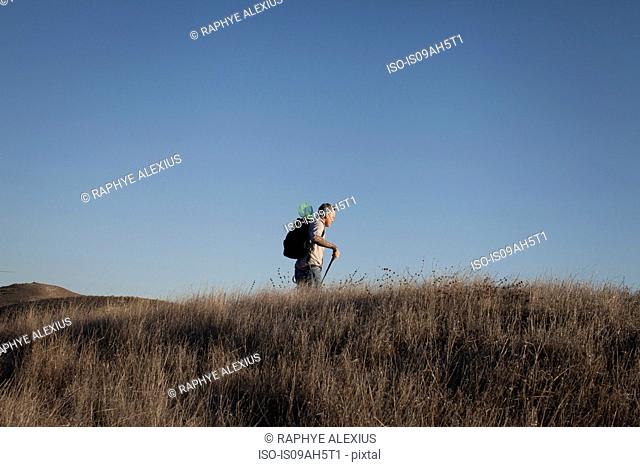 Distant view of mature man hiking in hills and long grass