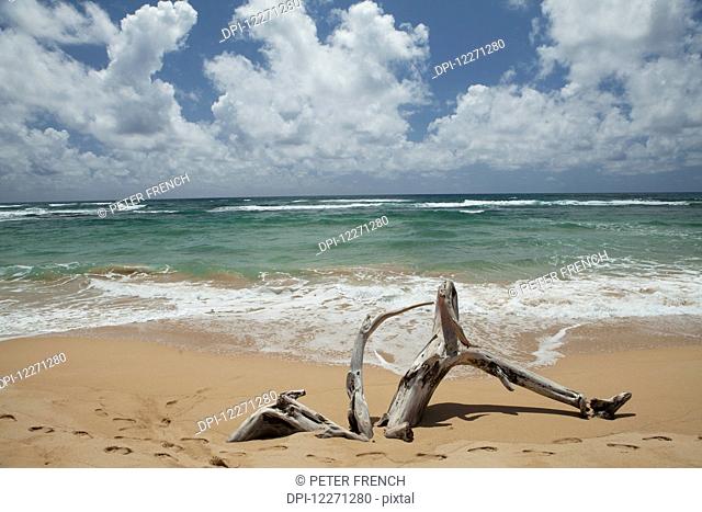 Driftwood, footprints in the sand and surf at Lydgate State Beach Park; Wailua, Kauai, Hawaii, United States of America
