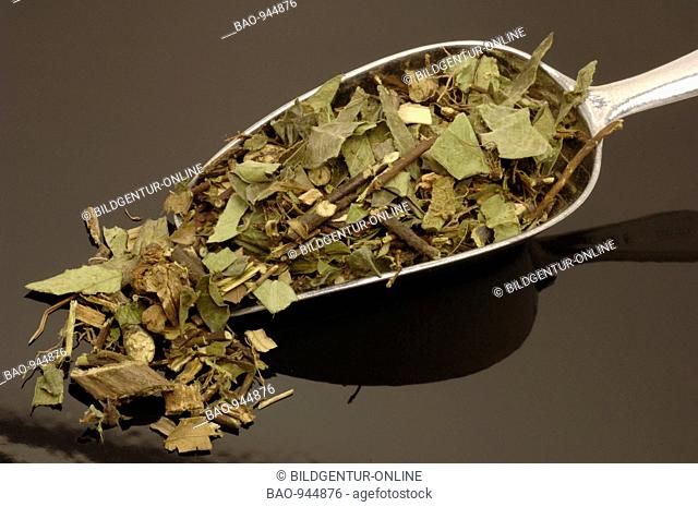 Dried herbs of medicinal plant Sternjasmin, Chinese Star Jasmine, Star Jasmine, Trachelosperma jasminoides