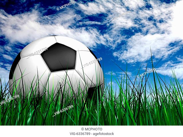 football or soccer ball on the grass over a blue sky in the background - 3d illustration - 01/01/2019