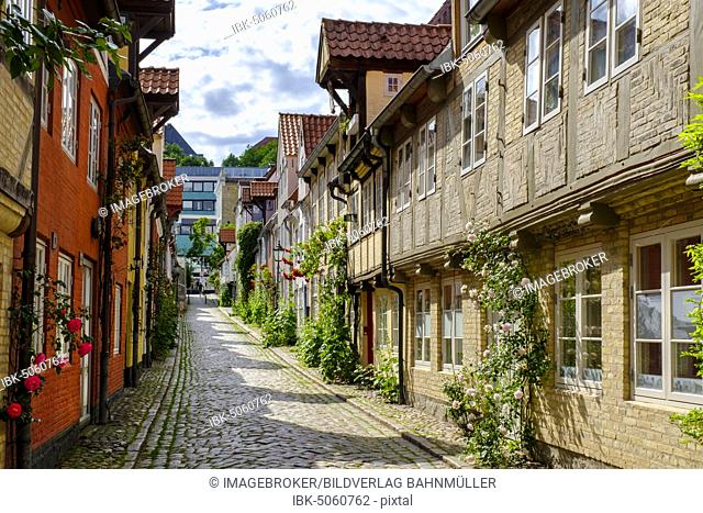 Oluf-Samson-Gang, alley with fisherman's cottages, Flensburg, Schleswig-Holstein, Germany, Europe