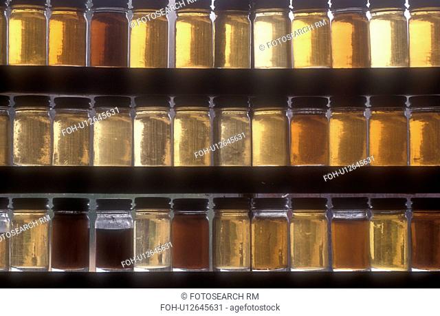 maple syrup, Montpelier, VT, Vermont, Samples of different grades of maple syrup in the window of Morse Farm at sugaring time in Montpelier