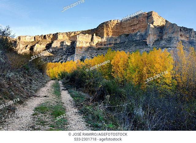 Riaza Canyon Natural Park. Montejo de la Vega de la SerrezuelaSegovia. Castilla Leon. Spain. Europe