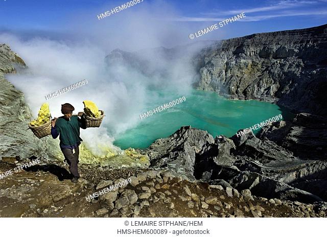 Indonesia, Java, East Java Province, Mining Sulfur by hand in Kawah Ijen volcano 2500m, the carrier Roknat bringing back 70kg of sufur from the heart of the...