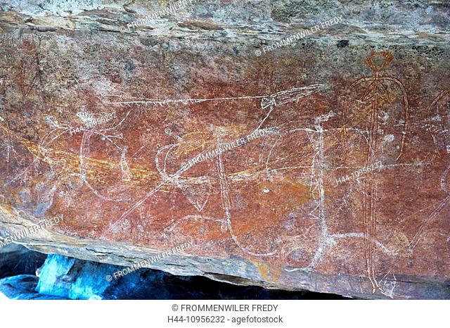 Australia, cockatoo, national park, Northern Territory, cliff drawings, rock painting