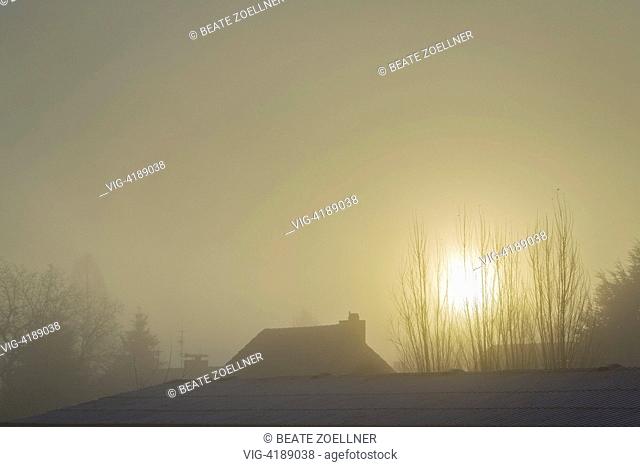 Misty winter morning - Schenefeld, Schleswig-Holstein, Germany, 02/12/2013