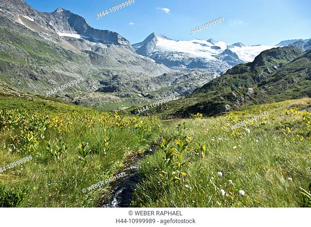 Alp Gauli in the Bernese Oberland