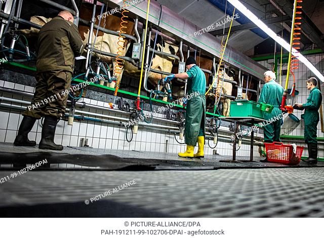 09 December 2019, North Rhine-Westphalia, Bad Sassendorf: While the participant Roman Thiesen (2nd from left) puts the milking unit on a cow in the examination...