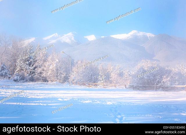 Christmas or New Year winter panorama with snow forest pine trees, Pirin mountain peaks view in Bansko, Bulgaria