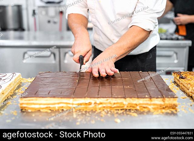 Close-up of a pastry chef cutting a large cake in portions at pastry shop. High quality 4k footage