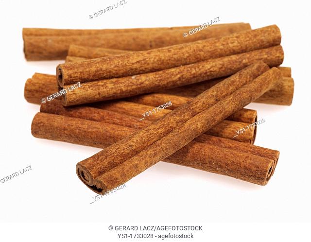 Cinnamon Bark, cinnamomum zeylanicum, Spice against White Background