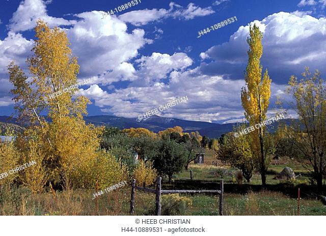 Taos High Road, near Penasco, Indian Summer, Fall Colors, New Mexico, USA, United States, America, trees