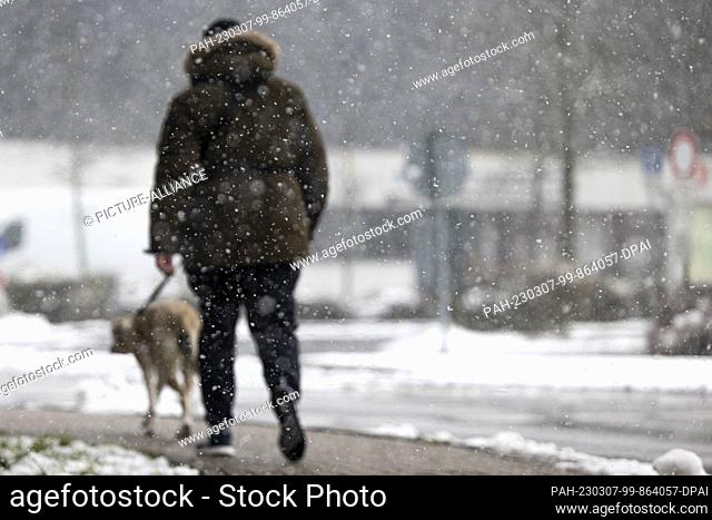07 March 2023, North Rhine-Westphalia, Radevormwald: A man walks his dog while it snows in Radevormwald in the Bergisches Land region
