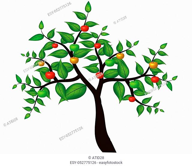 Green Apple tree full of red apples isolated over white