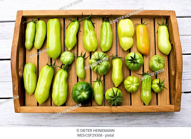 Tray with various tomatoes, stage of ripeness, unripe