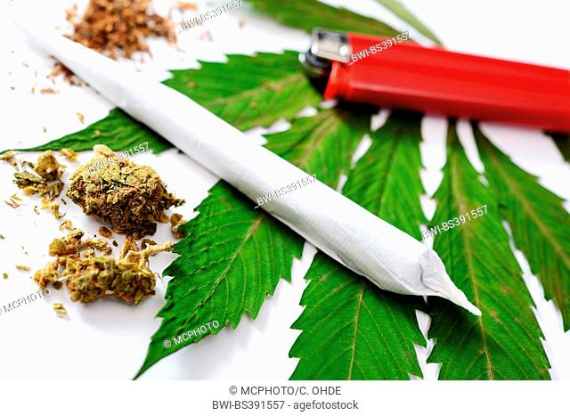 joint and cannabis