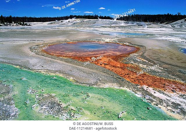 Norris Geyser Basin, Yellowstone National Park (UNESCO World Heritage List, 1978), Wyoming, United States of America
