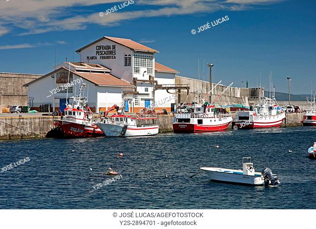 Fishing port, Malpica de Bergantinos, La Coruna province, Region of Galicia, Spain, Europe