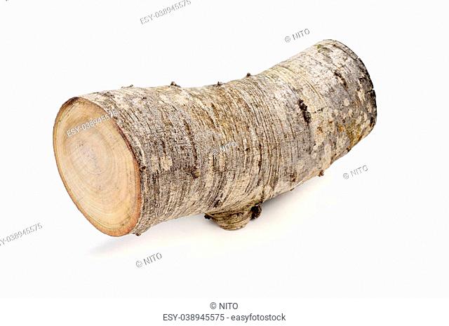 a log on a white background