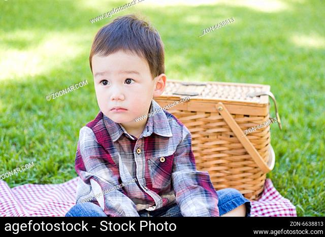 Cute Young Mixed Race Boy Sitting in Park Near Picnic Basket